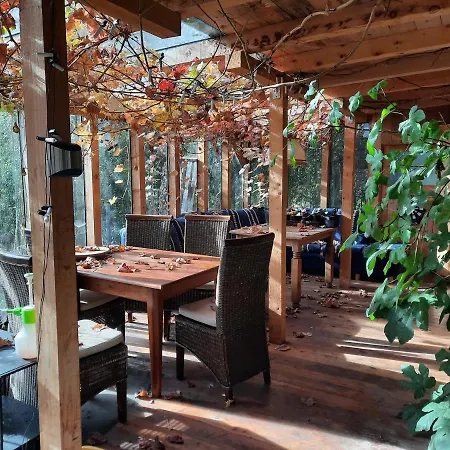 Bauernhaus Im Permakultur-garten Pansiyon Sankt Johann in Tirol