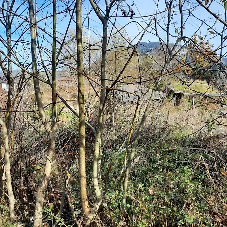 Bauernhaus Im Permakultur-garten Séjour chez l'habitant *